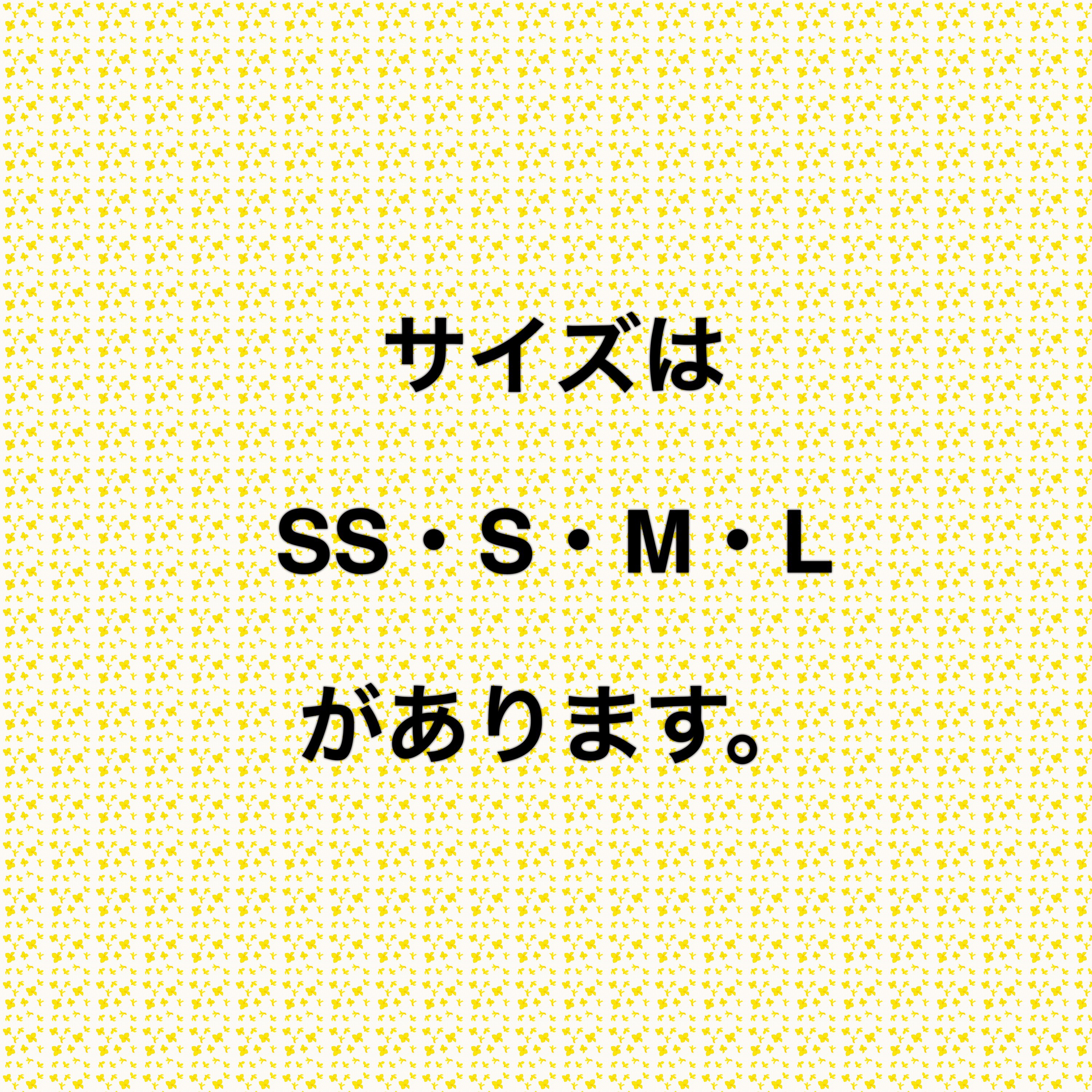 サイズについて