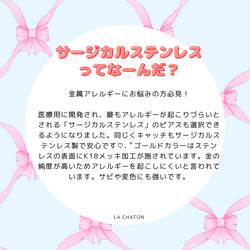 くま  チョコレート  ドーナッツ クマ  サージカルステンレスピアス   アレルギー対応 6枚目の画像