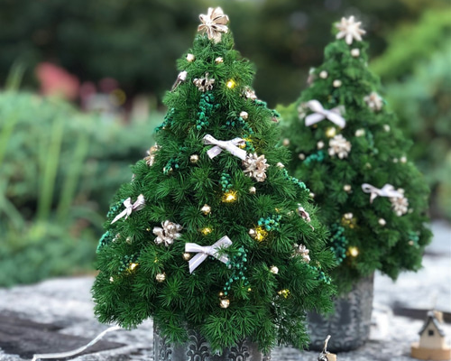 0_7e5513fd669976a3eb83cb71b2ab