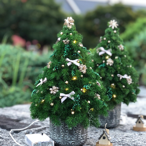 ミニクリスマスツリー プリザーブドフラワー フラワースタジオプリズム