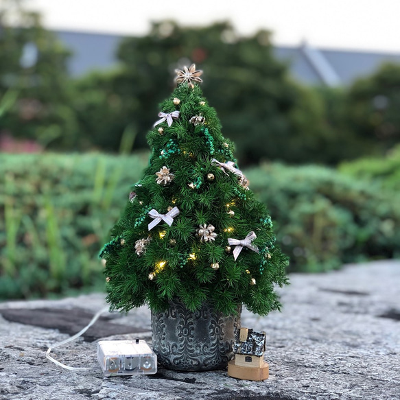 ミニクリスマスツリー 2枚目の画像