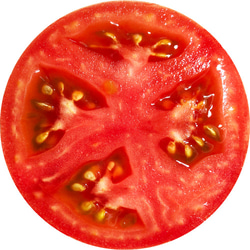 おもてなし用コースター♪トマト 3枚目の画像