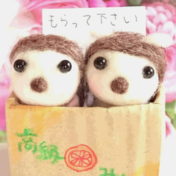 シマエナガ 雪の妖精 オーダー受付【羊毛フェルト】 羊毛フェルト クリ