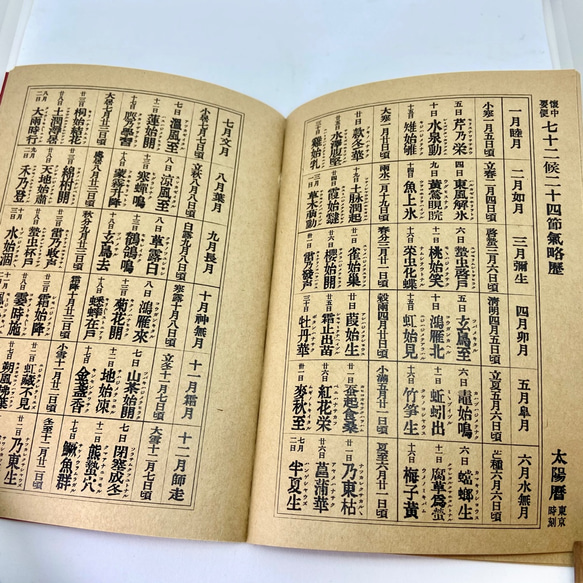 昔々の御婦人手帖 / ちょっと風変わりなかわいい手帳 / 他の人と被らない個性的なスケジュール帳 7枚目の画像