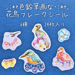 24枚入り✳︎色鉛筆画な鳥とビオラのフレークシール 3枚目の画像