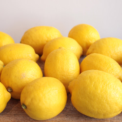 米麹と広島県産レモンの手作り酵素シロップセット 2枚目の画像