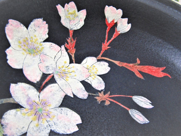 深盛り皿　山桜 10枚目の画像