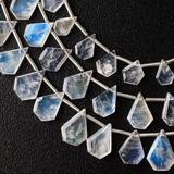 【8粒】ブルームーンストーン タブレットスライスカット (ビーズ素材)★ANAM gems