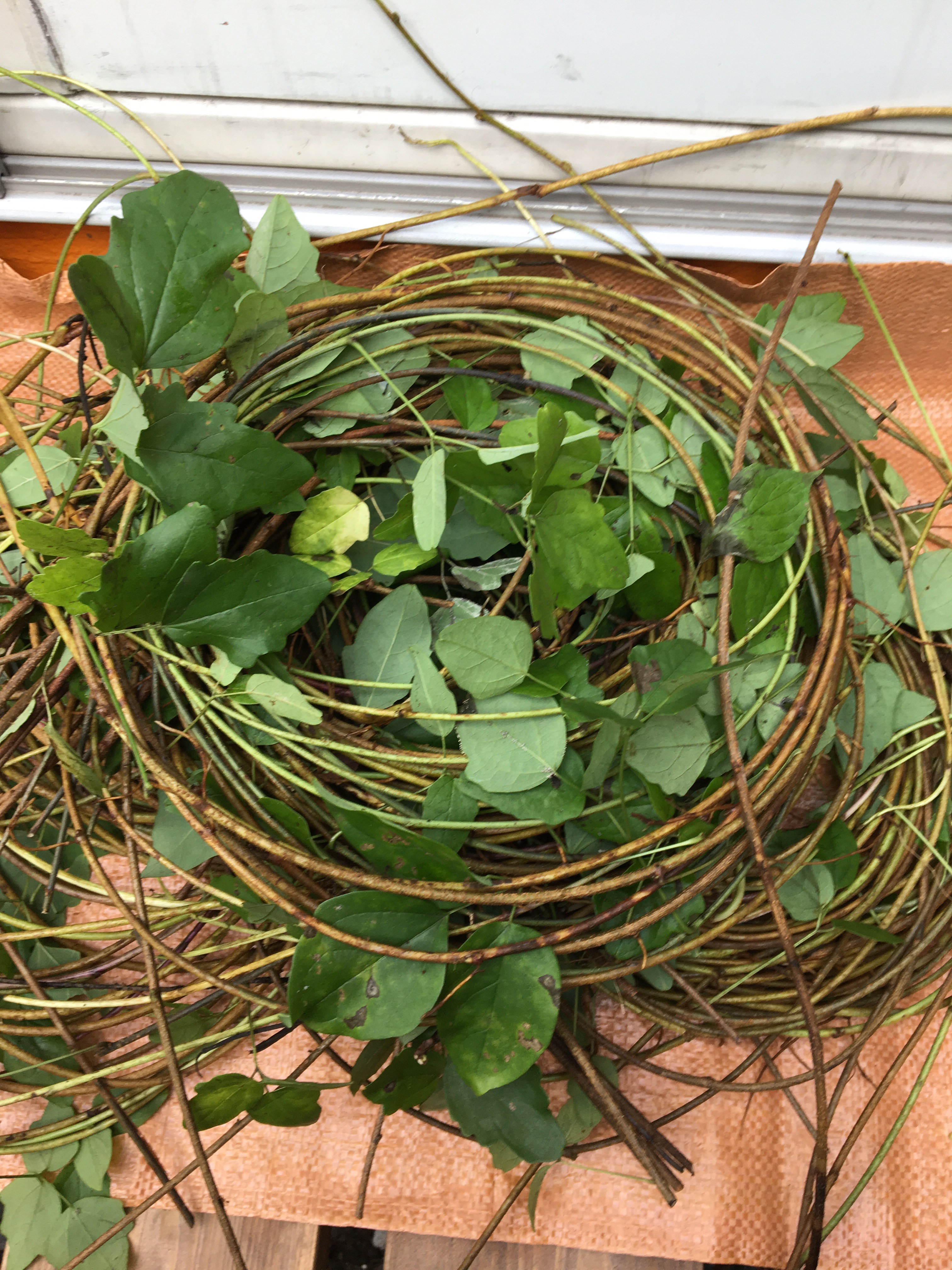 アケビの蔓 その他素材 chaochao 通販 10056613｜Creema(クリーマ)