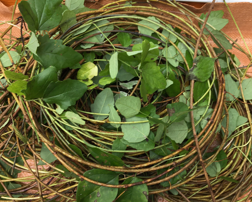 アケビ蔓5k アケビの蔓 その他素材 chaochao 通販 10056613｜Creema(クリーマ)