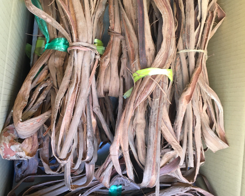 やちむん山葡萄の蔓 山葡萄の蔓と山珊瑚のチャーム①20240707－① | iichi 日々の