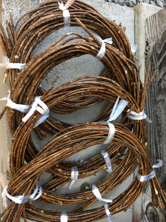 アケビの蔓 アケビの蔓で編んだかご5点 アケビの蔓で編んだかご