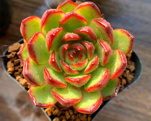 0_36fdd1b7fad4fc1c37d08413d369