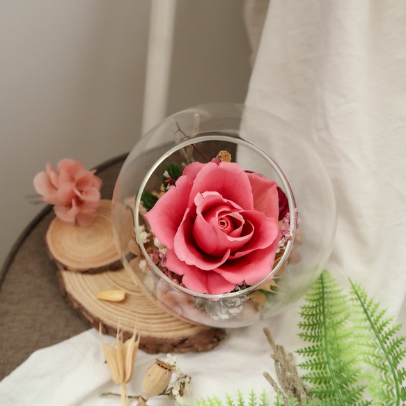《日系永生玫瑰玻璃植栽》 第1張的照片