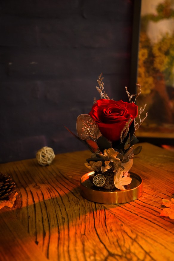 《紅絲絨玫瑰盅》 第1張的照片