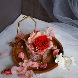《紅絲絨色永生玫瑰乾燥花玻璃戒指盒》 第3張的照片