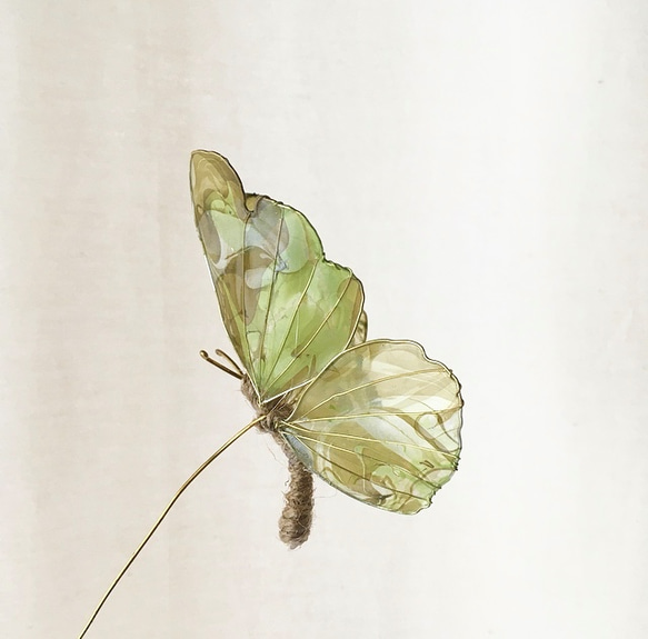 《送料無料》蝶のオブジェ 3枚目の画像