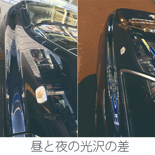 ながら洗車 艶特化 コーティング カルナバロウ レジン シリコン 艶 