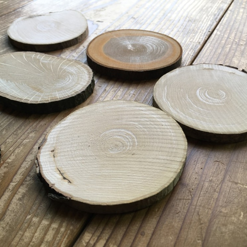 10枚セット 木の輪切り ハンドメイド素材【送料無料】 木材・板