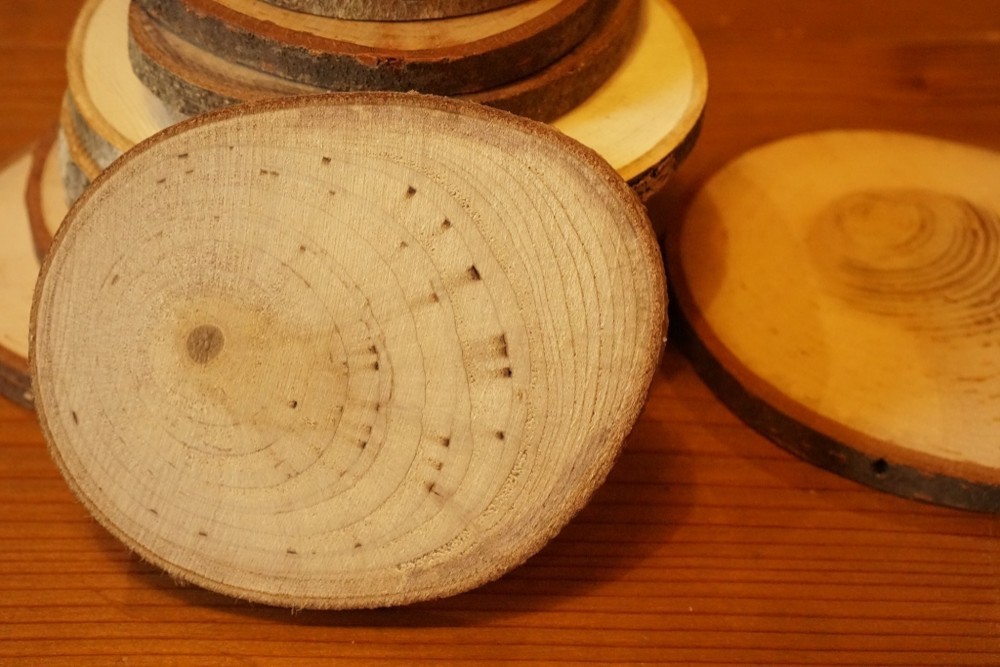 50枚セット　木の輪切り　ハンドメイド素材【送料無料】