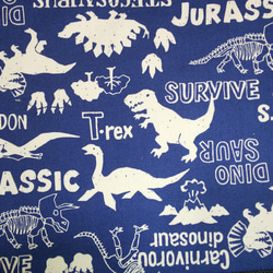入園入学グッズ人気の 恐竜ダイナソーのレッスンバッグ 3枚目の画像