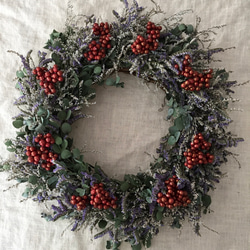 ユーカリとシネンシスのクリスマスリース　28㎝　 1枚目の画像