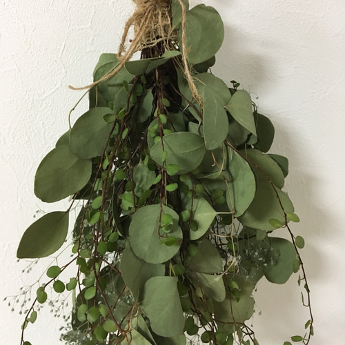 フレッシュユーカリとワイヤープランツのスワッグ ドライフラワー