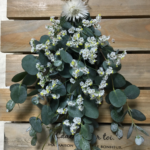 1.ユーカリスワッグ ユーカリスワッグ ドライフラワー himari's garden 通販 9575595