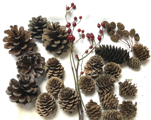 1_d43ad33e5d232ee890440c7f4df0