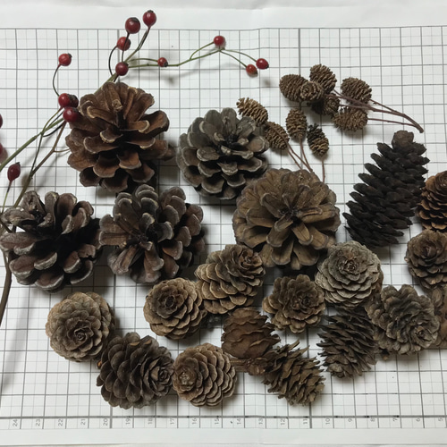 リース材料 木の実他おまとめ お引渡し リース材料 木の実他おまとめ お引渡し