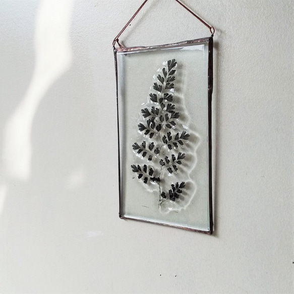 「Botanical Card/アジアンタム」　ガラス　植物標本　オーナメント 3枚目の画像