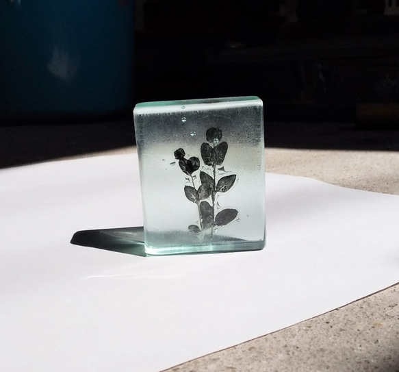「Botanical Cube/ユーカリ」　ガラス　植物標本　ペーパーウェイト 1枚目の画像