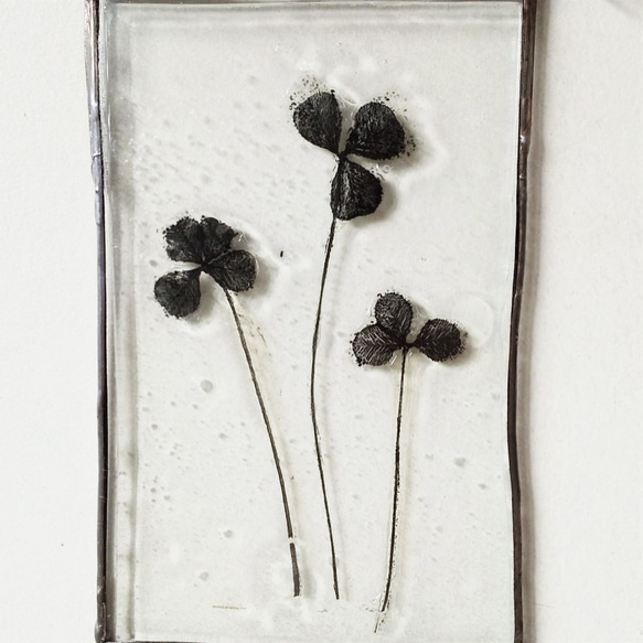 「Botanical Card/クローバー」ガラス　植物標本　オーナメント 2枚目の画像