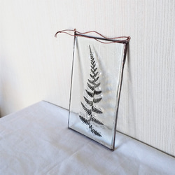 「Botanical Card/ヒメワラビ」　ガラス、植物標本、オーナメント 5枚目の画像