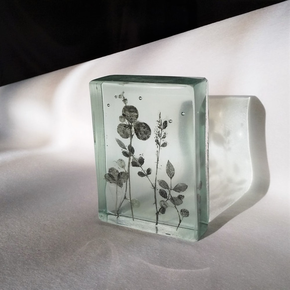 「Botanical Cube/Wild Flowers」ガラス　植物標本　ペーパーウェイト 1枚目の画像