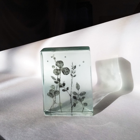 「Botanical Cube/Wild Flowers」ガラス　植物標本　ペーパーウェイト 2枚目の画像