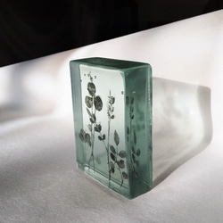 「Botanical Cube/Wild Flowers」ガラス　植物標本　ペーパーウェイト 4枚目の画像