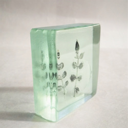 「Botanical Cube/ノイバラ」ガラス　植物標本　ペーパーウェイト 3枚目の画像