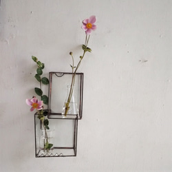 「Botanical Box」ガラス　花器 6枚目の画像
