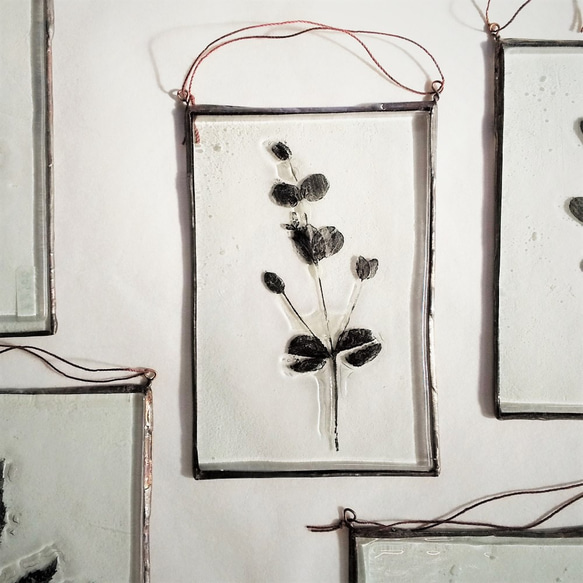 「Botanical Card/ユーカリ」ガラス　植物標本　オーナメント 1枚目の画像