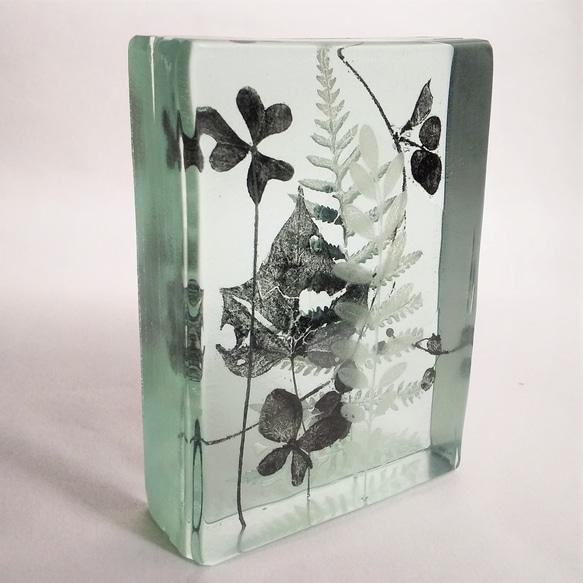 Botanical Cube/micro garden」ガラス 植物標本 ペーパー