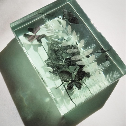 Botanical Cube/micro garden」ガラス 植物標本 ペーパー