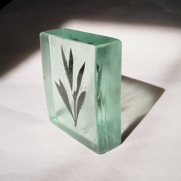 「Botanical Cube/オリーブ」　ガラス　植物標本　ペーパーウェイト 2枚目の画像