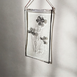 「Botanical Card/クローバー」ガラス　植物標本　オーナメント 4枚目の画像