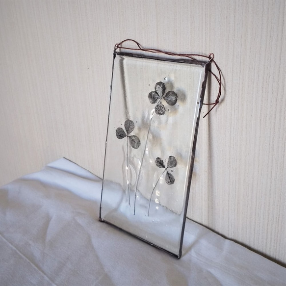 「Botanical Card/クローバー」ガラス　植物標本　オーナメント 5枚目の画像