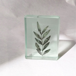 「Botanical Cube/イヌザンショウ」　ガラス　植物標本　ペーパーウェイト 2枚目の画像
