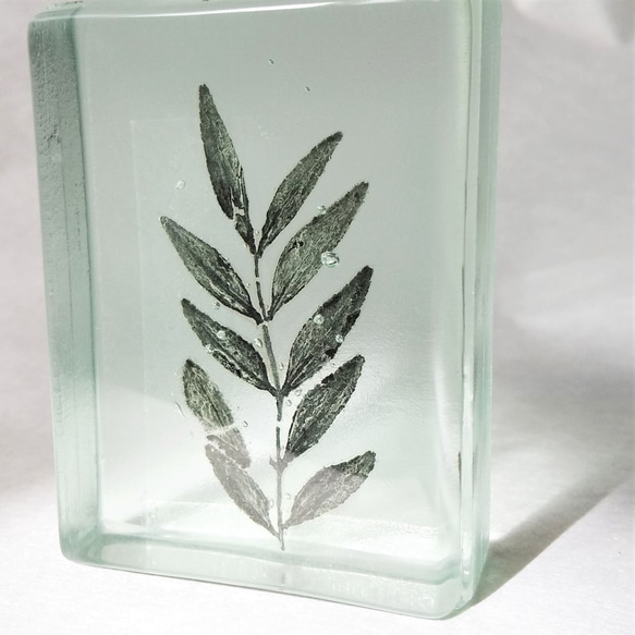 「Botanical Cube/イヌザンショウ」　ガラス　植物標本　ペーパーウェイト 3枚目の画像