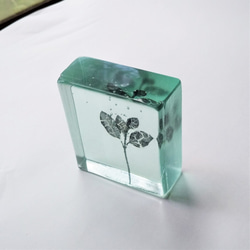 「Botanical Cube/萌芽（ツルニチニチソウ）」　ガラス　植物標本　ペーパーウェイト 3枚目の画像