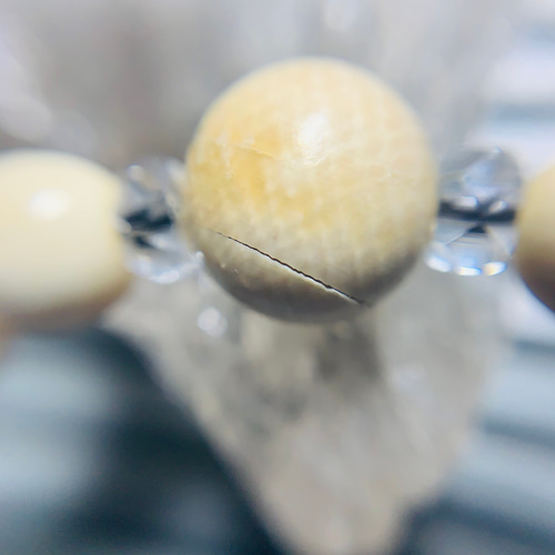 ☆【実物】 マンモスの牙 シベリア産