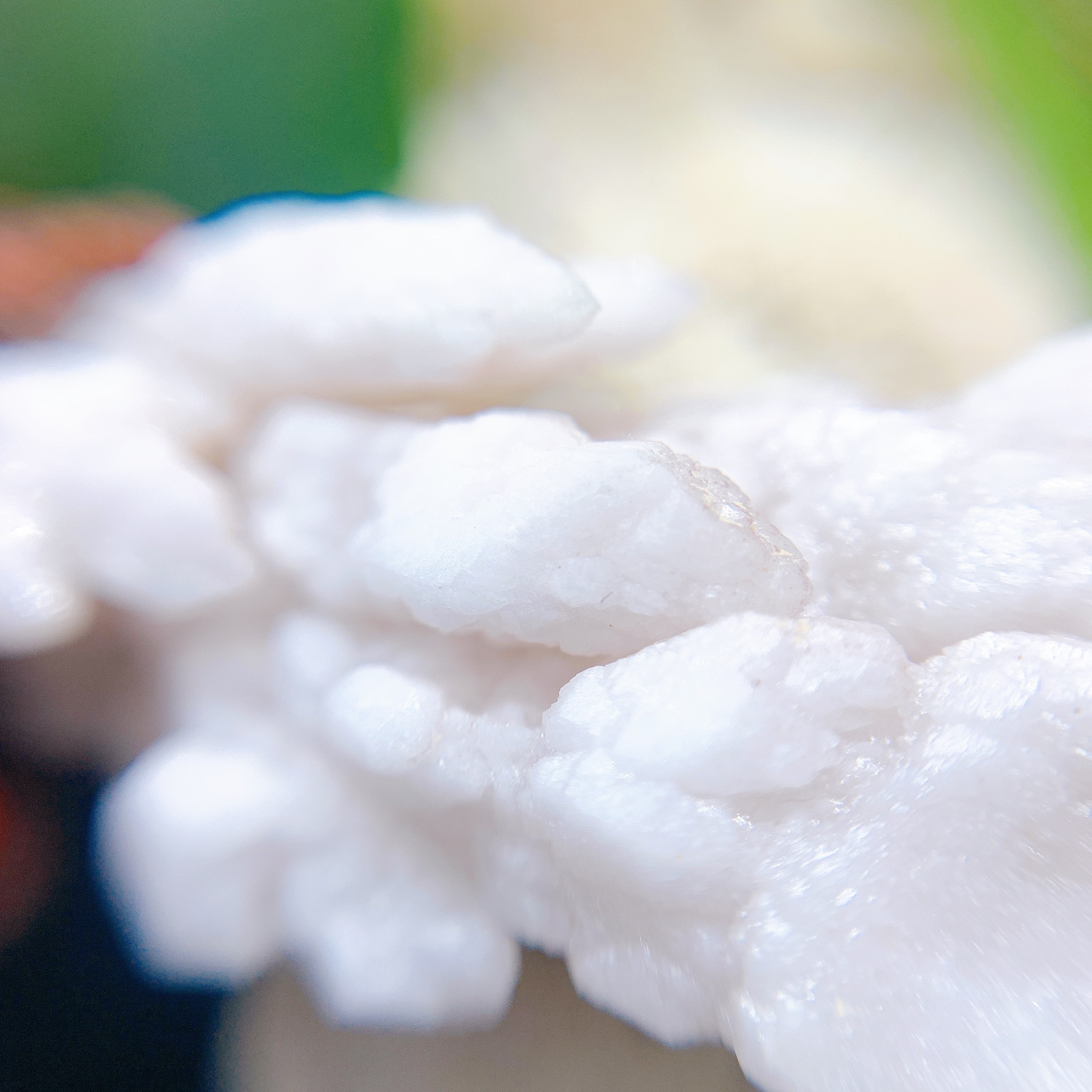 ペルー・ナスカ産☆白水晶☆キャンドルクォーツ☆カテドラル☆ワンド☆